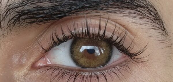 Biella Brown - Imagen 2
