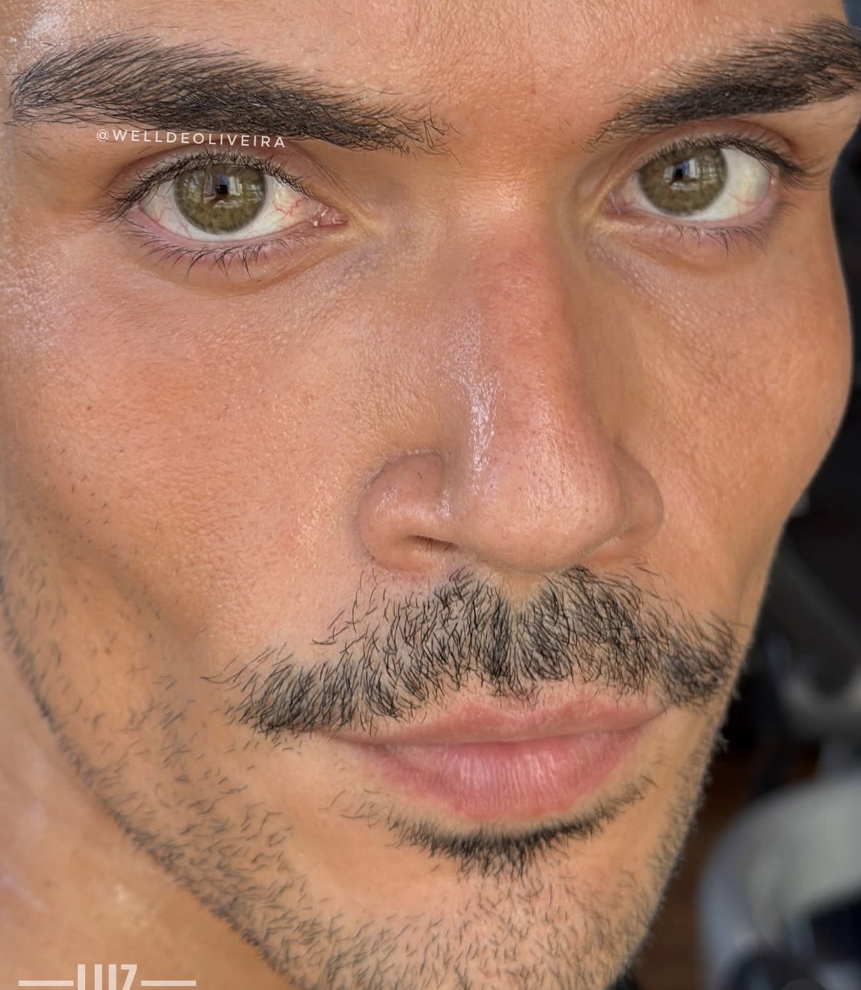 Chagall Green - Imagen 2